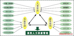 RFID設備全解析 電子標簽、讀寫器及性能參數(shù)與市場報價